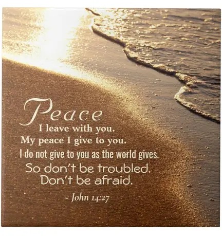 Inline image Inline image