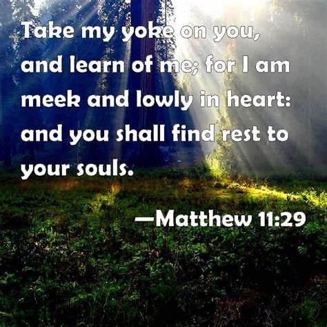 Inline image Inline image