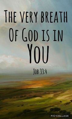 Inline image Inline image