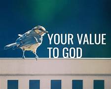 Inline image Inline image