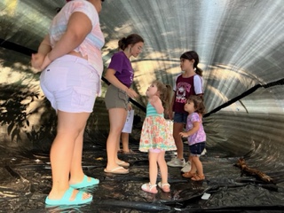 Inline image Inline image