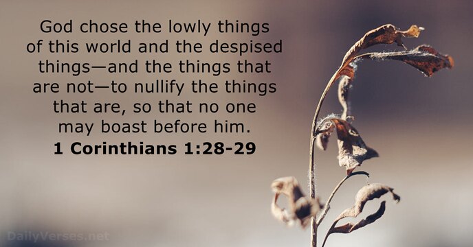 Inline image Inline image