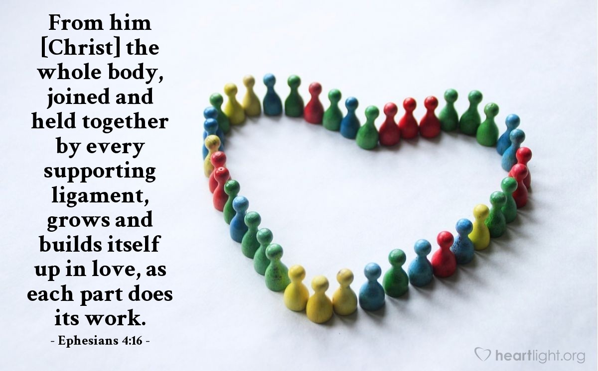 Inline image Inline image