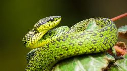 Be Alert and on guard…