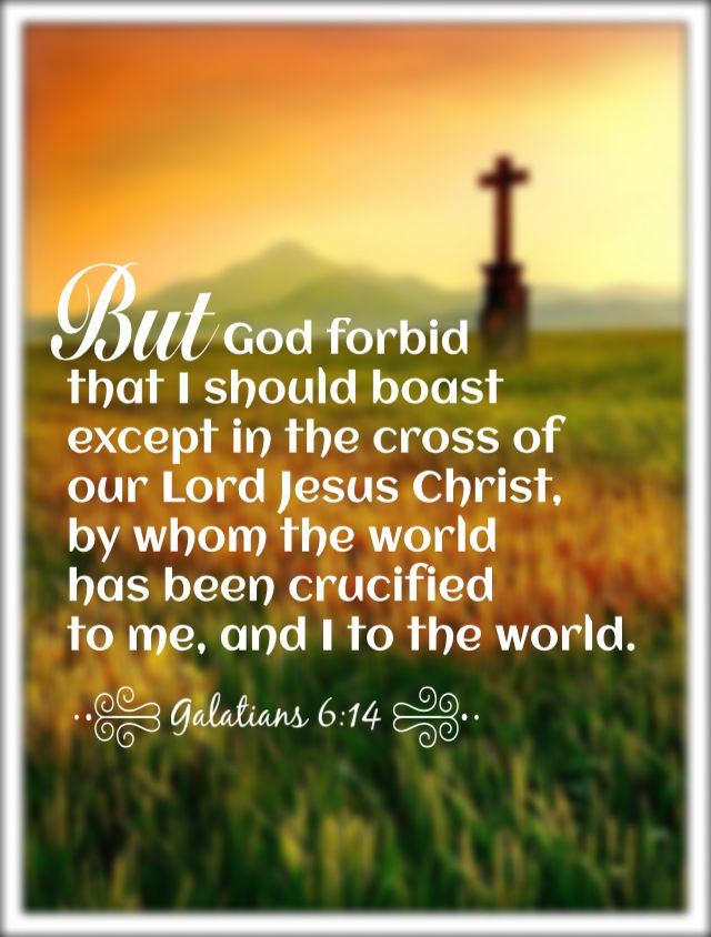 Inline image Inline image