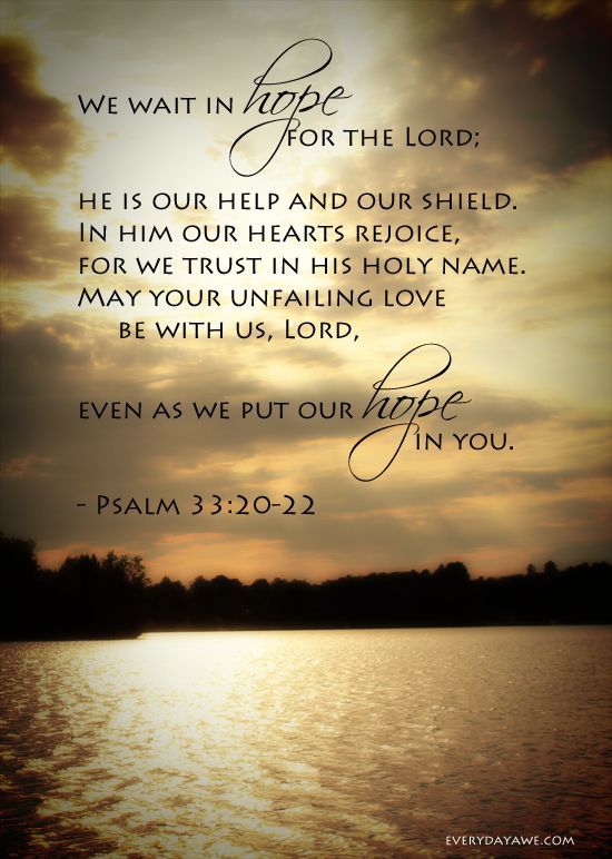 Inline image Inline image