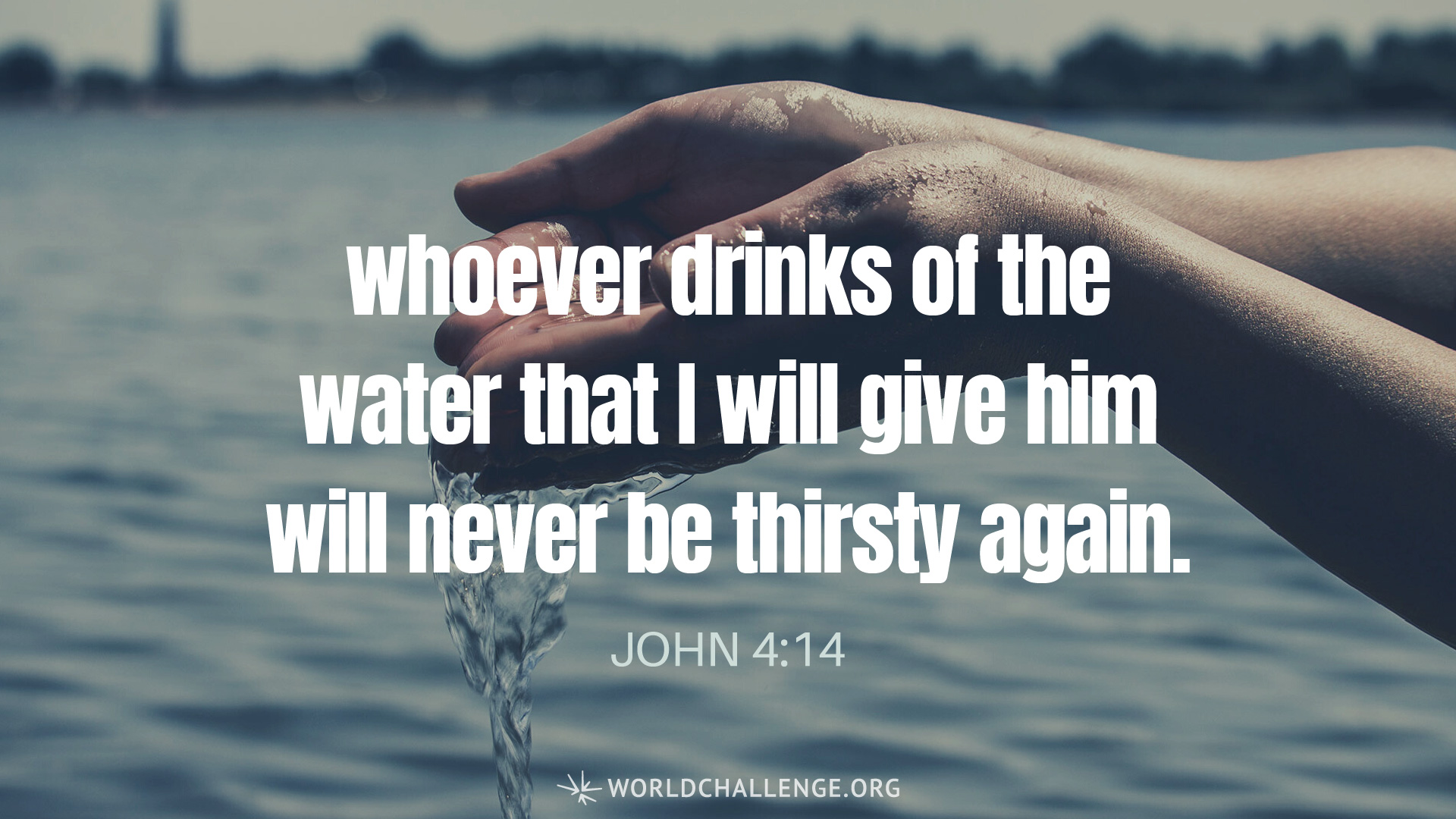 Inline image Inline image