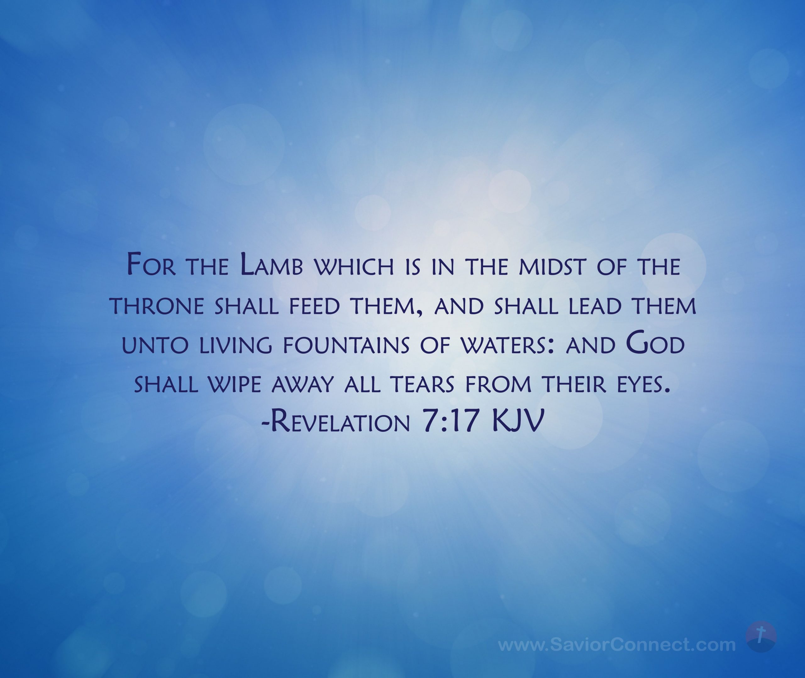 Inline image Inline image