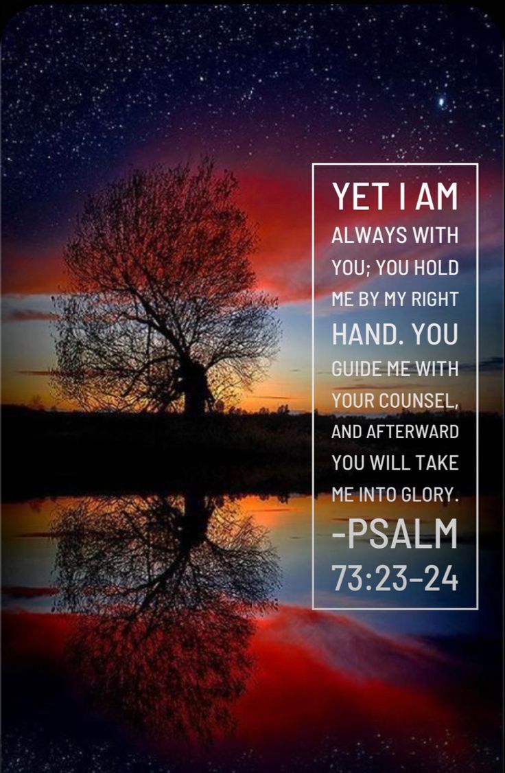 Inline image Inline image