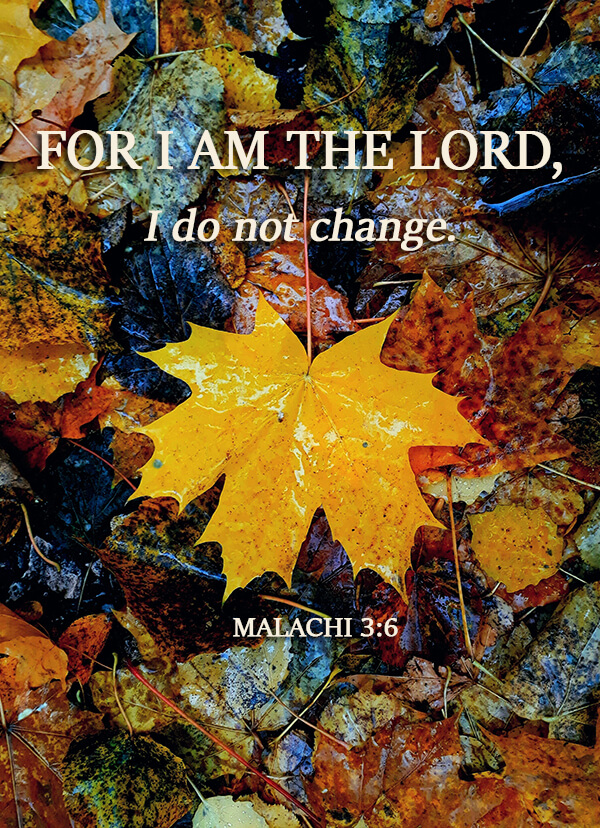 Inline image Inline image