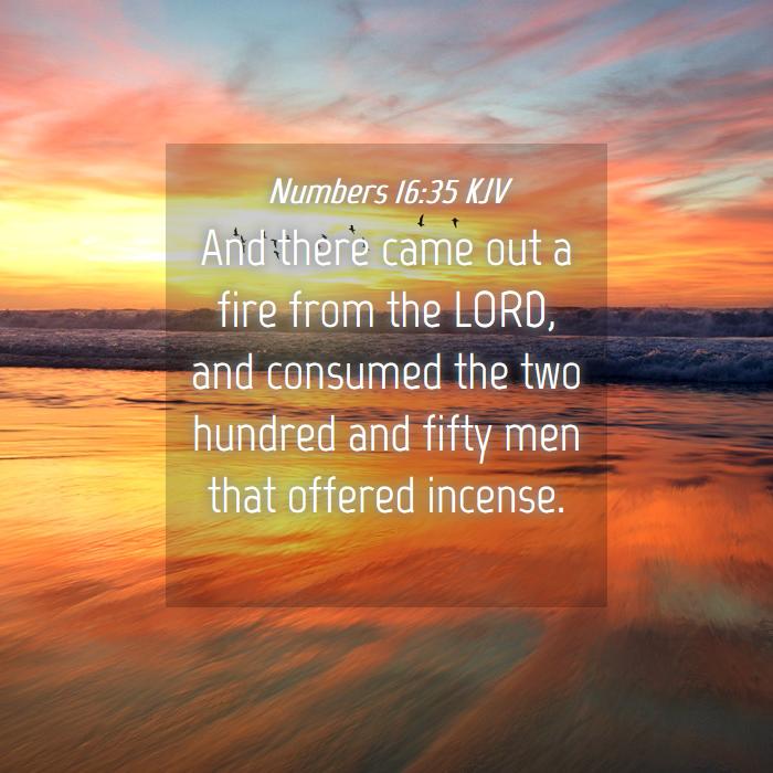 Inline image Inline image