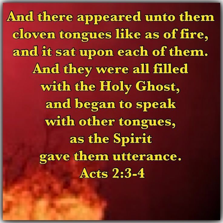 Inline image Inline image